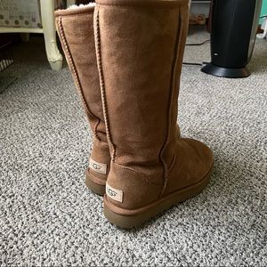 tall  chestnut uggs !!